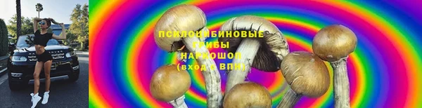 твердый Алексин