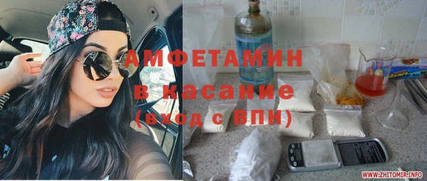 твердый Алексин