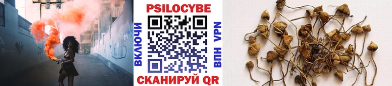 Галлюциногенные грибы Psilocybine cubensis  Приморск 