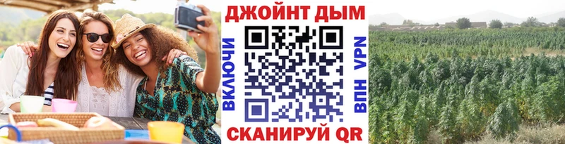закладка Приморск Марихуана марихуана